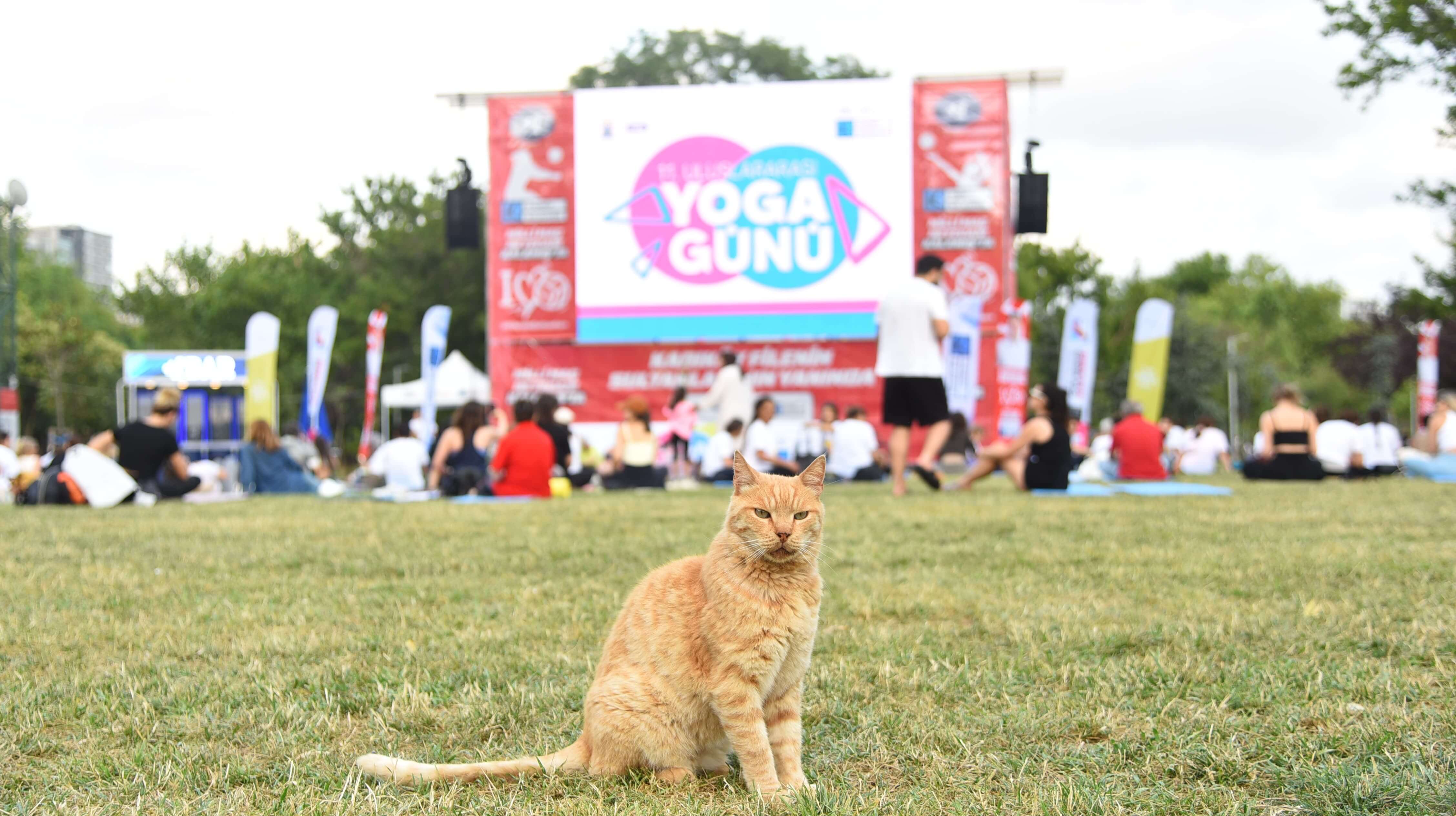 Kadıköy'de Yoga Günü